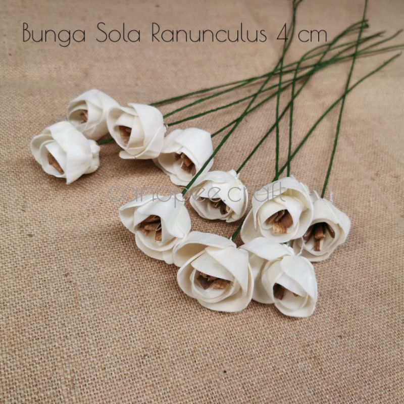 Jual Bunga Kering Diffuser Sola Flower | Shopee Indonesia