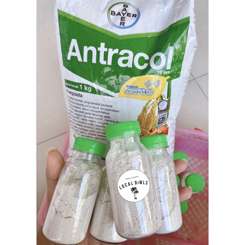 Jual antracol repack botol 80ml (25gr) | Shopee Indonesia