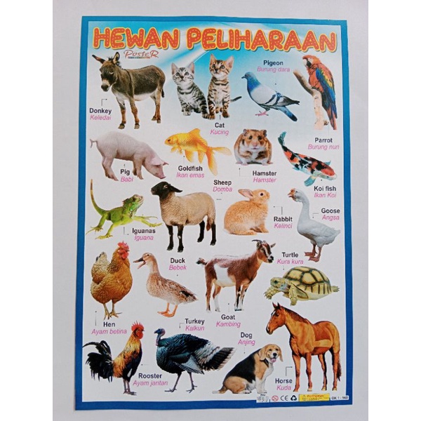 Jual Poster Edukasi Anak / Hewan Peliharaan | Shopee Indonesia