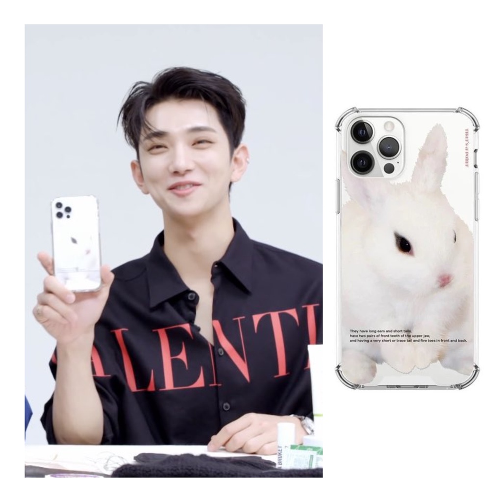 Jual Seventeen Joshua rabbit bunny transparent custom phone case ...