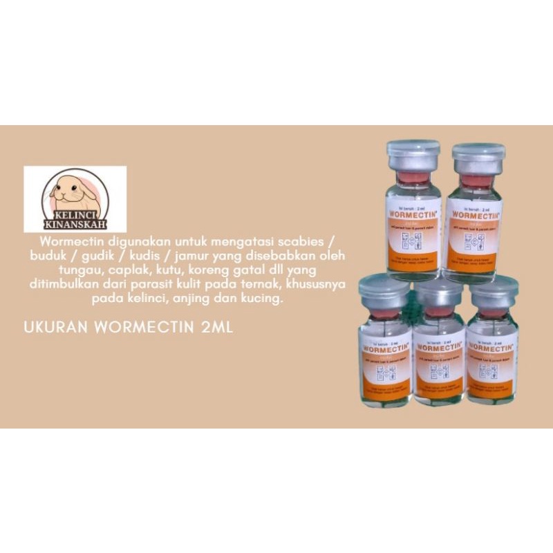Jual WORMECTIN INJEKSI OBAT SCABIES SUNTIK 2ML | Shopee Indonesia