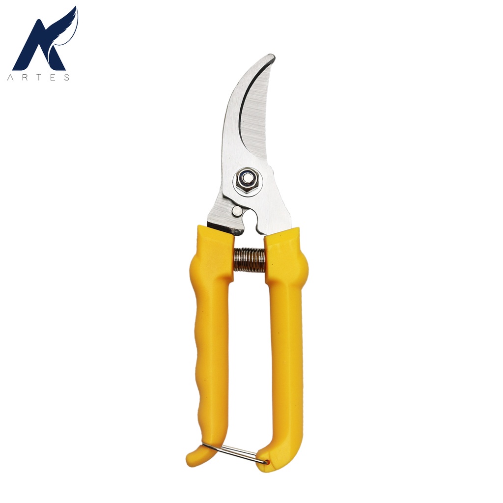 Jual HASSTON PROHEX ART 1350-024 Haston Gunting Dahan-Ranting-Stek ...