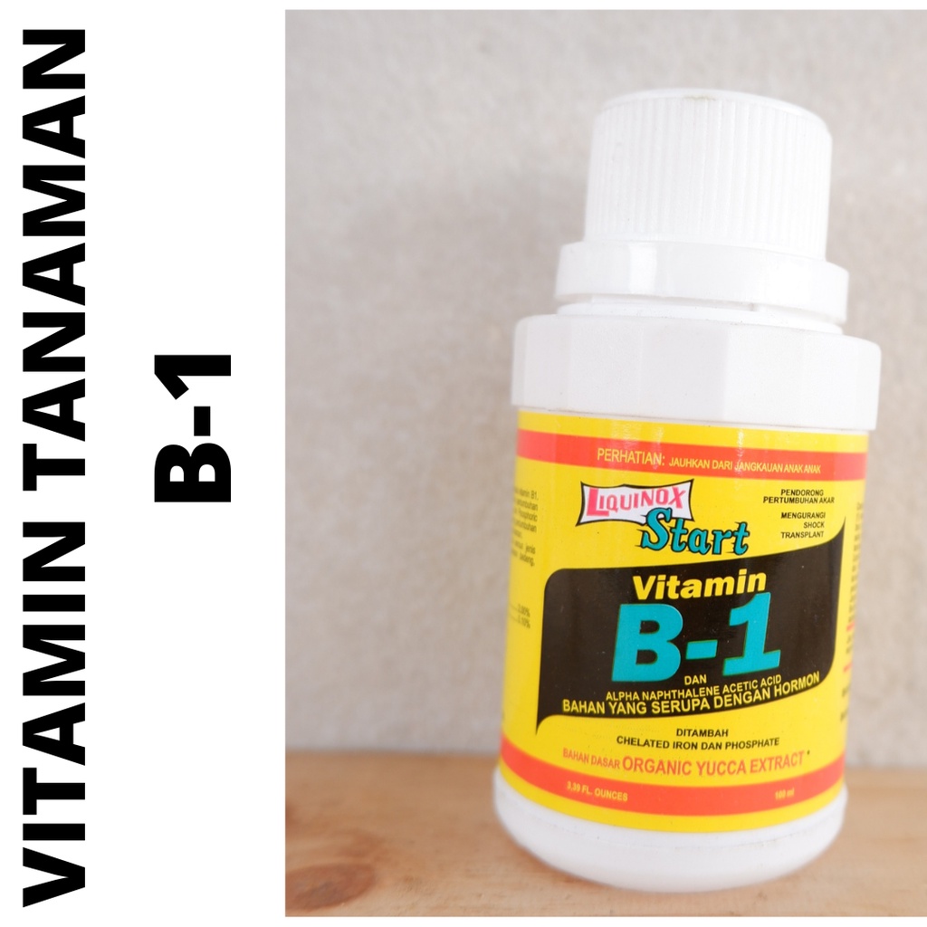 Jual Pupuk Vitamin B1 Tanaman Liquinox (bergaransi) | Shopee Indonesia