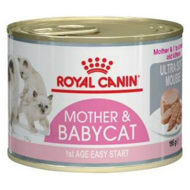 Harga royal canin 2025 mother and baby cat