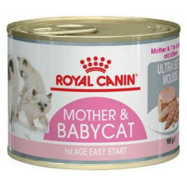 Harga royal canin 2025 mother and baby cat