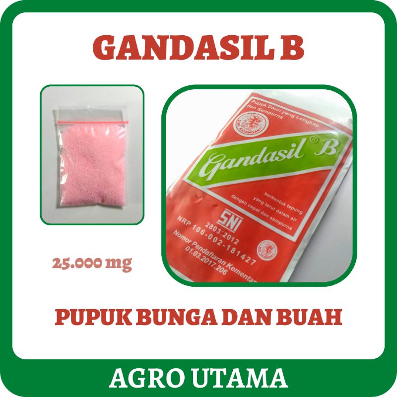 Jual Gandasil B - Pupuk Buah & Bunga - NPK Majemuk Generatif | Shopee ...