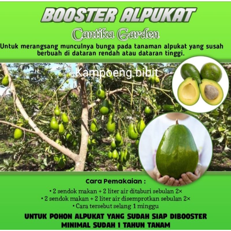 Jual Pupuk Booster Perangsang Dan Pelebat Semua Tanaman Buah | Shopee ...