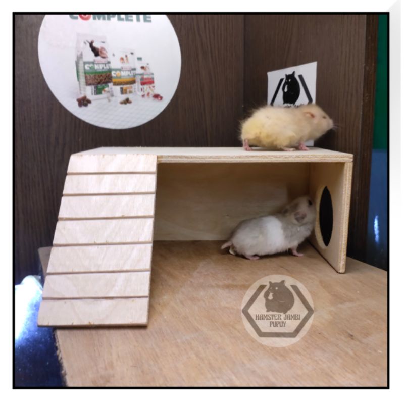 Image showcasing Jual Hidden Out Hamster | Rumah Hamster | Tunnel Hamster | Terowongan ...