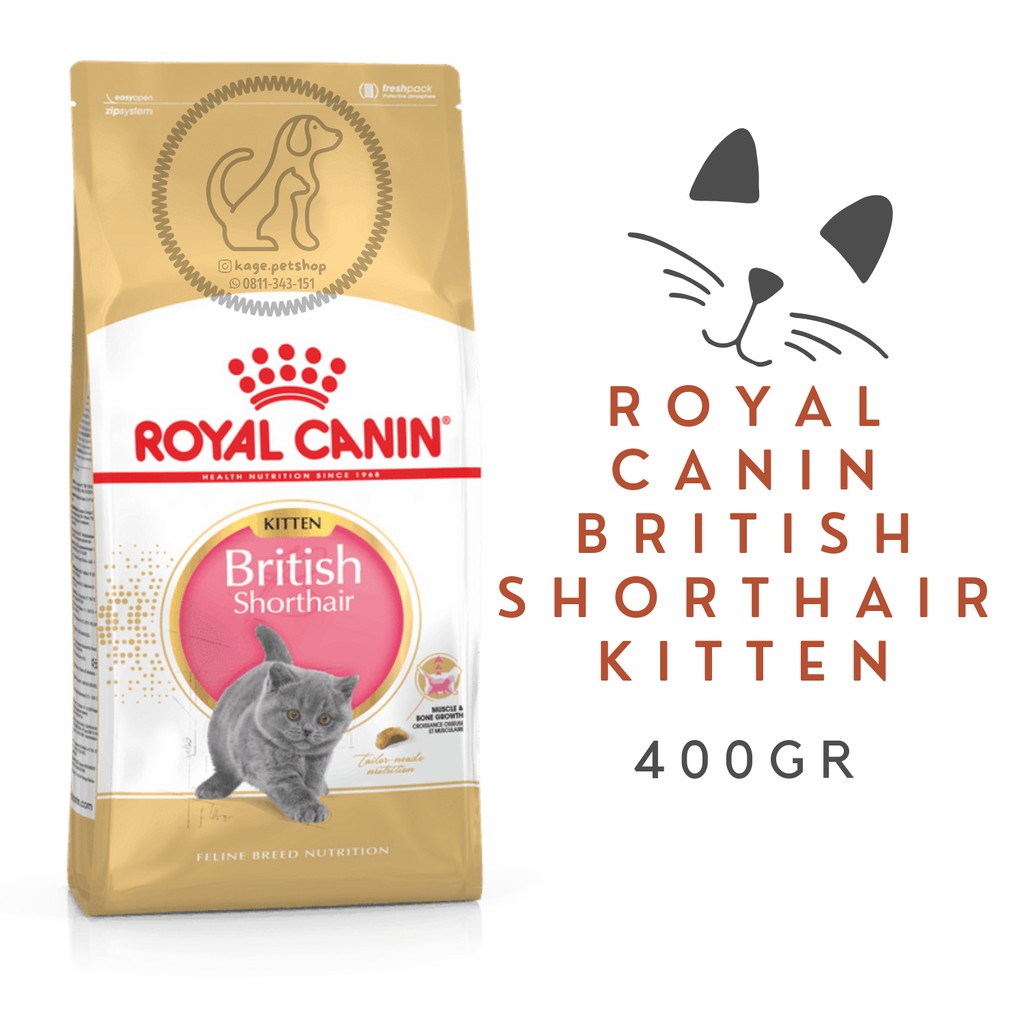 Royal canin british hotsell shorthair kitten 400g