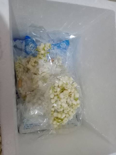 Jual Ronce Melati siraman asli | Shopee Indonesia