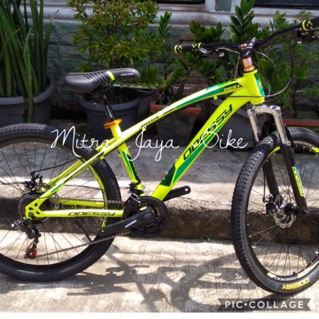 Mtb store odessy 26