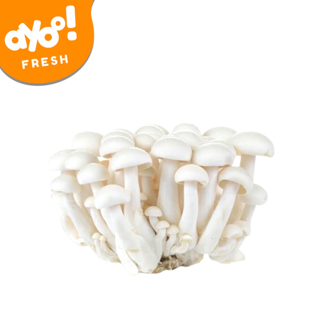 Jual Jamur Shimeji Putih/ White Shimeji Mushroom 150 g Pack Shopee Indonesia