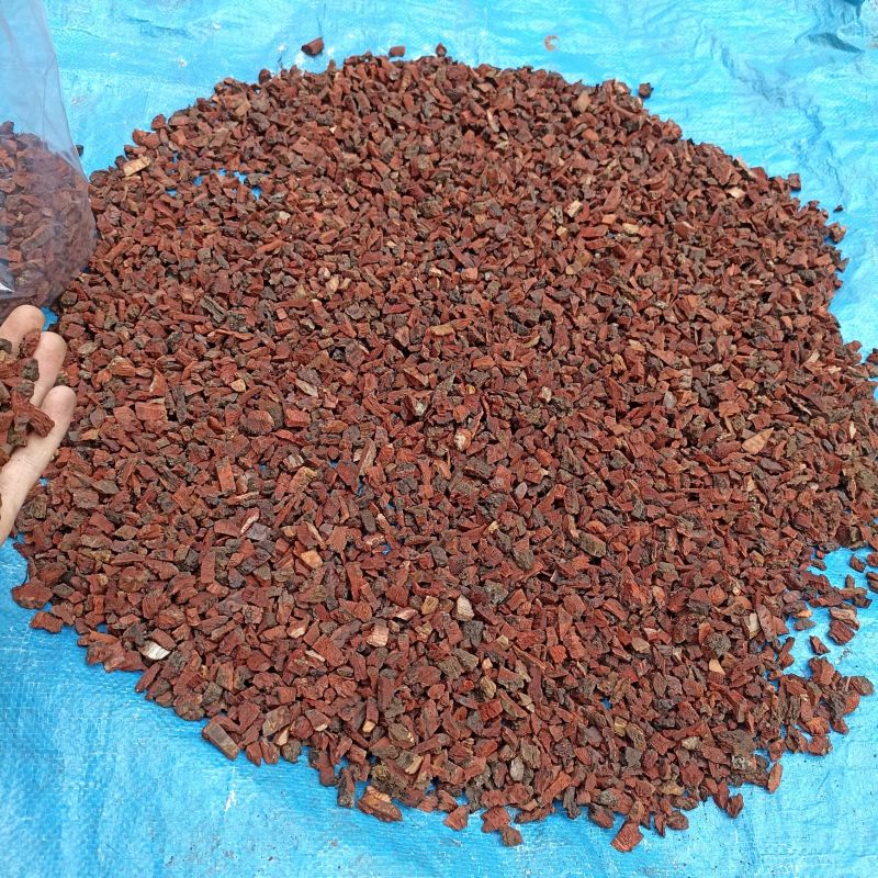 Jual (1Kg) Pine Bark/Kulit Pinus Cacah/Cacahan Kecil/Media tanam/Alas ...