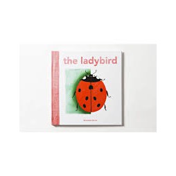 Jual THE LADYBIRD by bernadette gervais | Shopee Indonesia