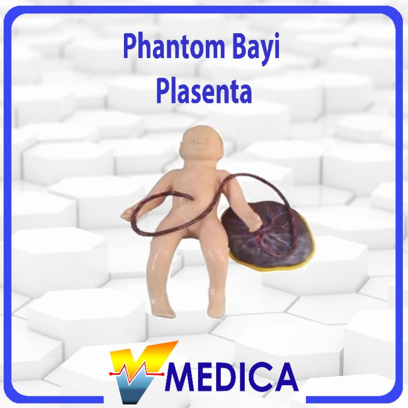 Jual Phantom Bayi Plasenta / Alat Peraga Manekin | Shopee Indonesia