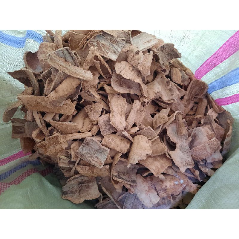 Jual Kayu Pule Terlengkap & Harga Terbaru Juli 2026 | Shopee Indonesia