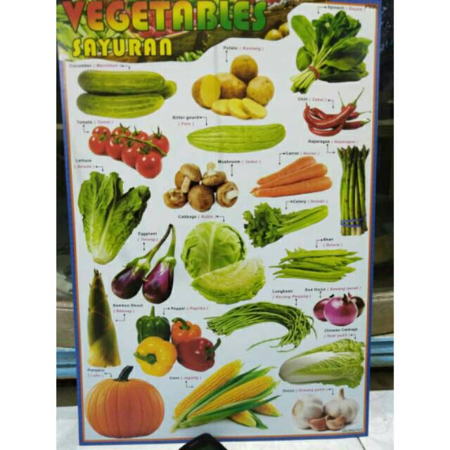 Jual Poster Edukasi Sayuran 50x35 Warna Gambar Sayur Mayur Shopee