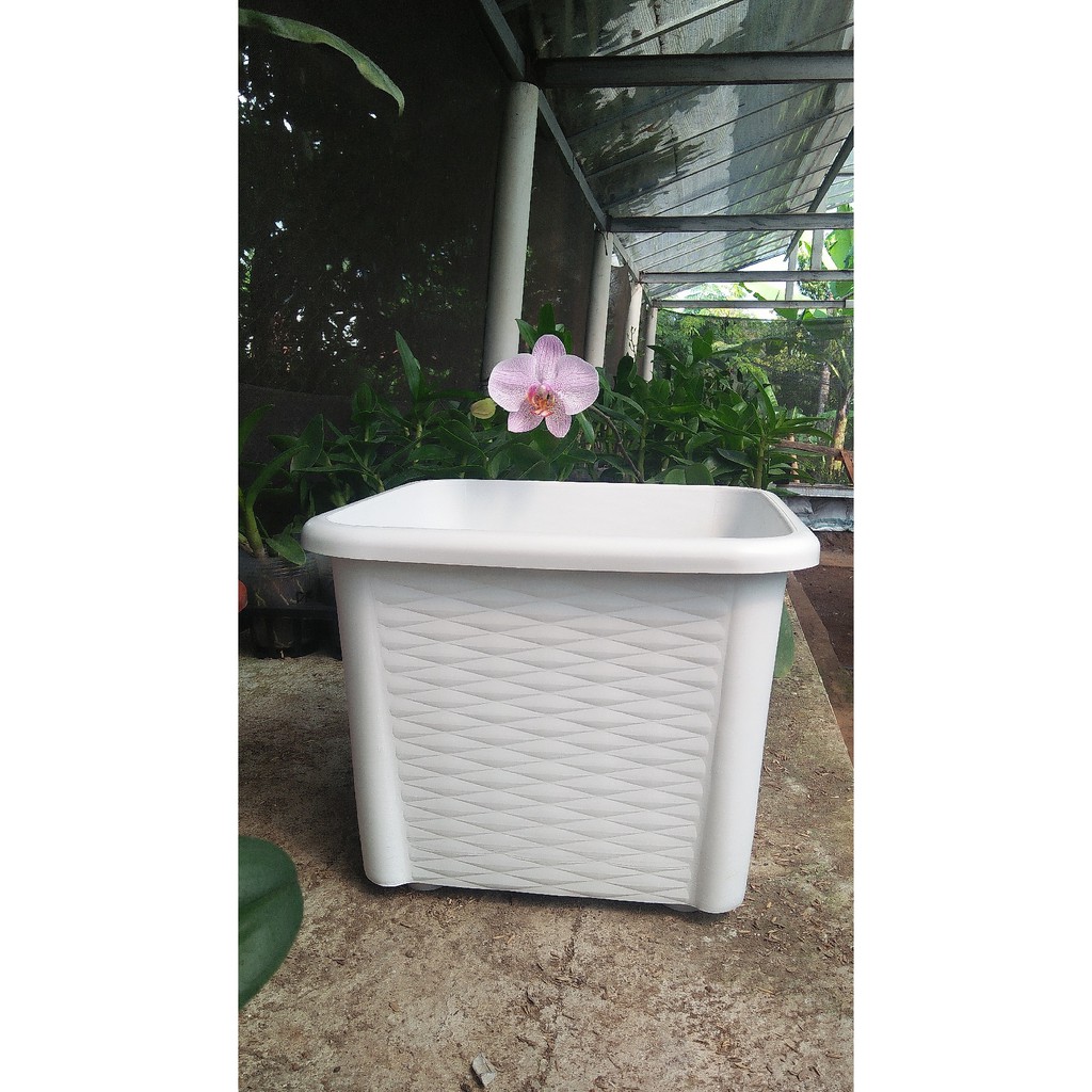 Jual Pot HW Kotak Anyam | Shopee Indonesia