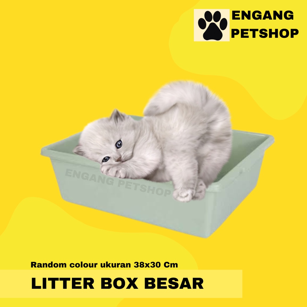 Jual Litter Box Jumbo Super Besar Bak Pasir Kucing Kelinci Anjing