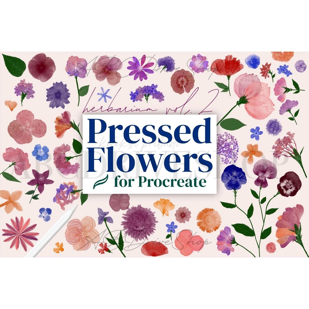 Jual Procreate Brush - Pressed Flower Brushes for Procreate | Shopee ...