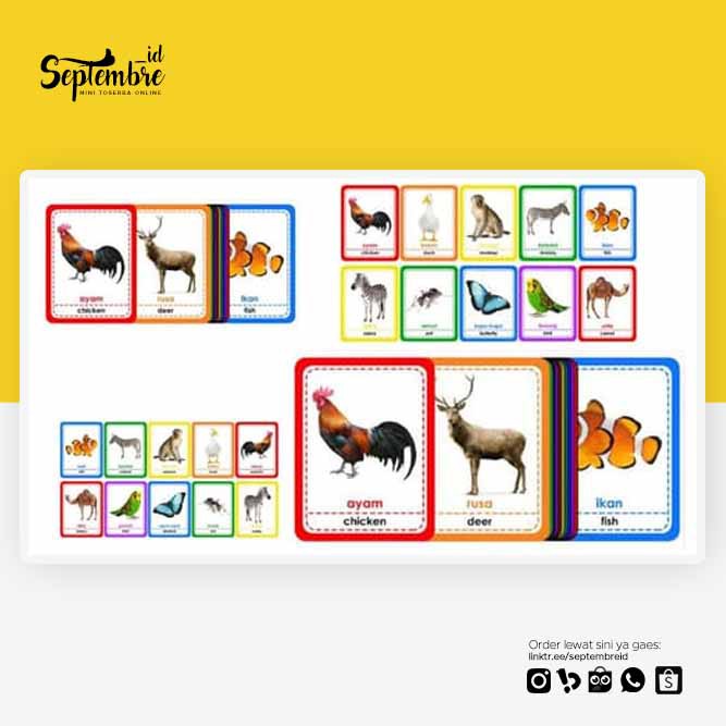 Jual Flashcard Binatang Flashcard Hewan Flash Card Binatang Flash