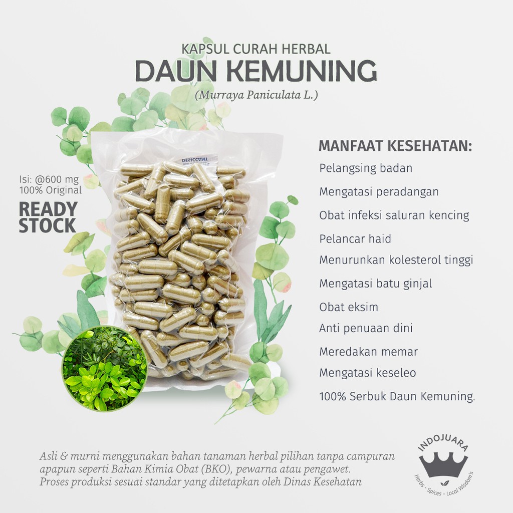 Jual Kemuning 100 Kapsul Curah Herbal Eksim Rematik Bisul Anti Aging Kolesterol Batu Ginjal 7895