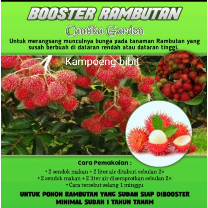 Jual Pupuk Booster Perangsang Dan Pelebat Semua Tanaman Buah | Shopee ...