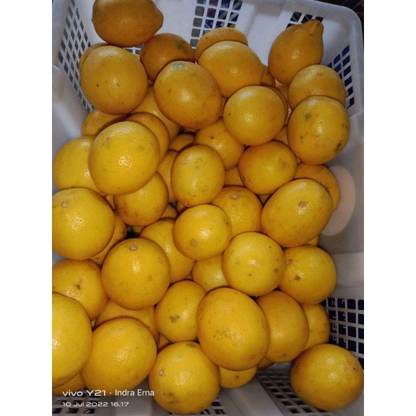 Jual Lemon Import segar 1kg | Shopee Indonesia