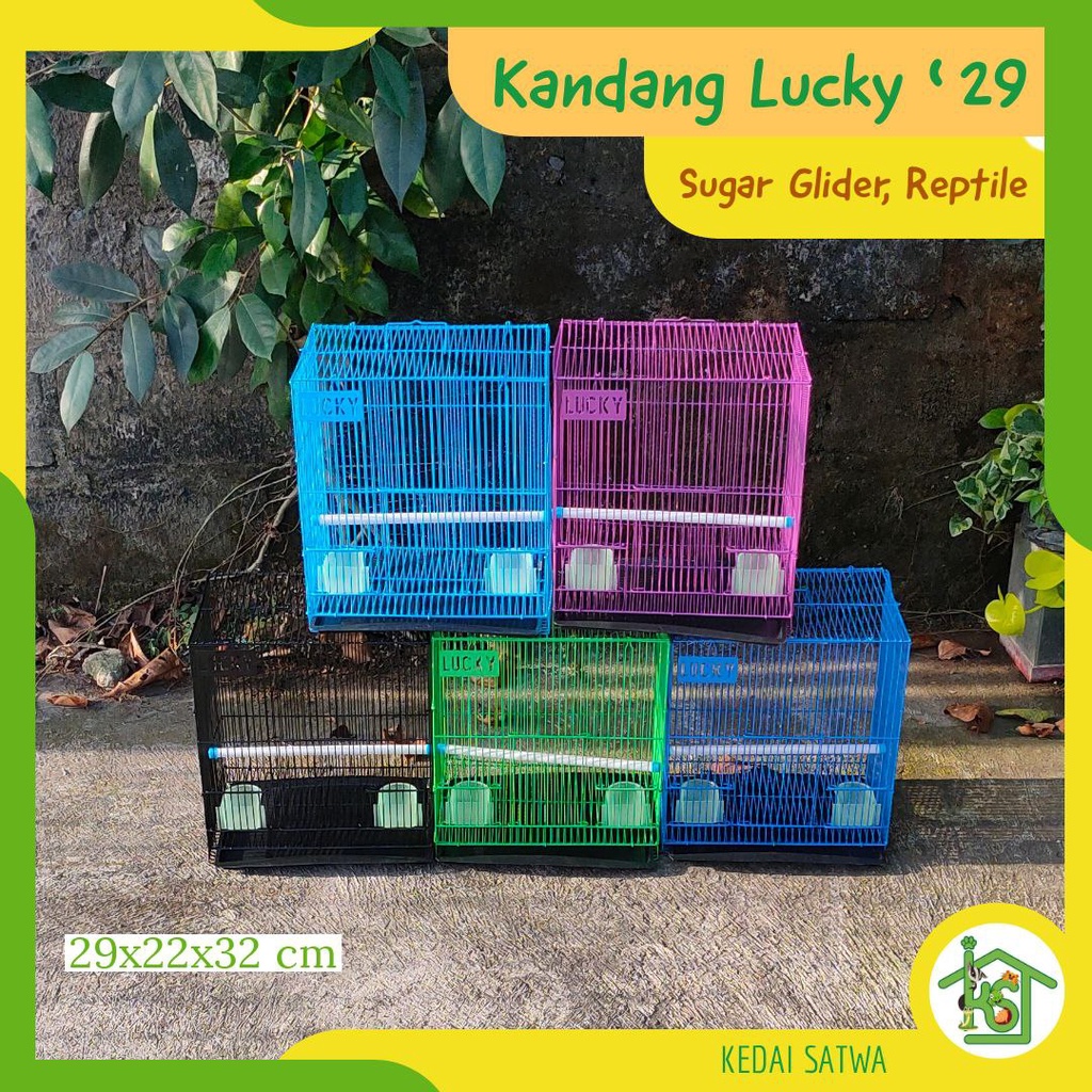 Kedai best sale sugar glider