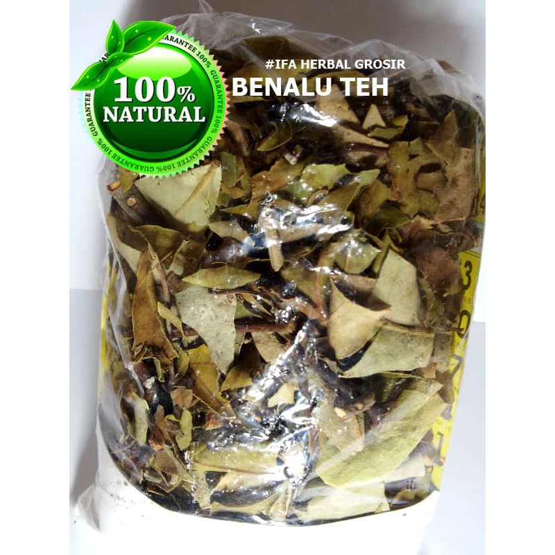 Jual Jamu Herbal Tradisional Tanaman Obat Benalu Teh Untuk Penyakit