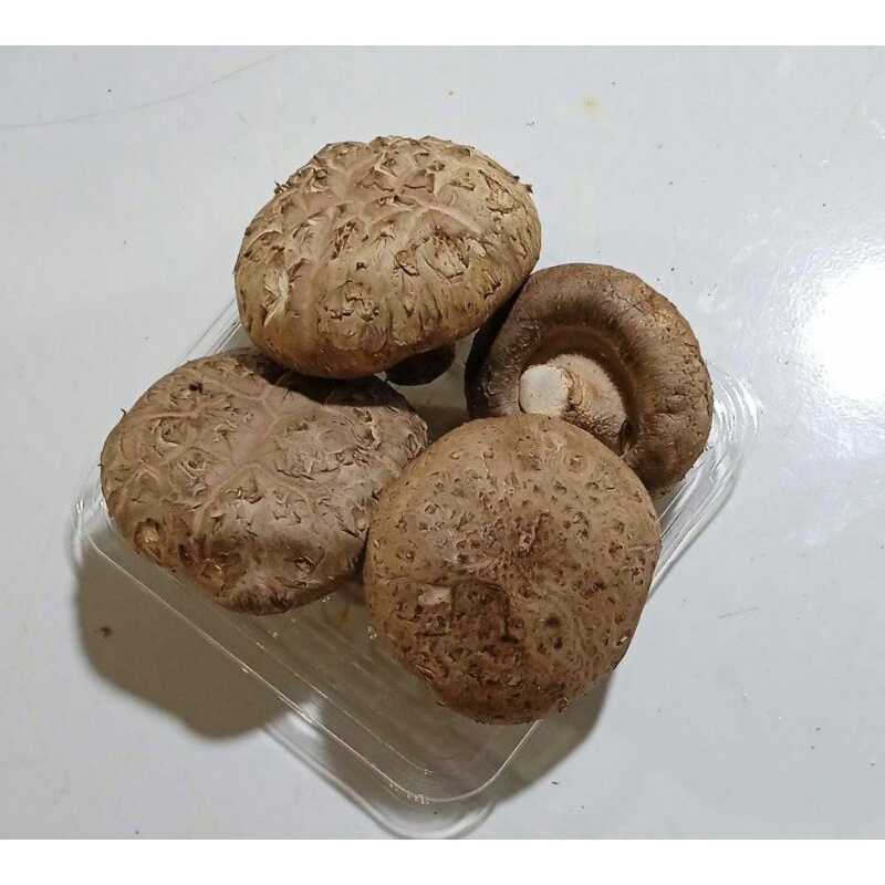 Jual Jamur shitake fresh / 100 gram Shopee Indonesia