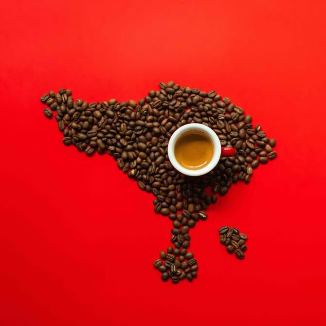 Kopi Bali: Aroma Nusantara yang Menaklukkan Dunia, Kini di Ujung Jari Anda