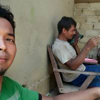 Jual Kurma Ajwa Jambi
