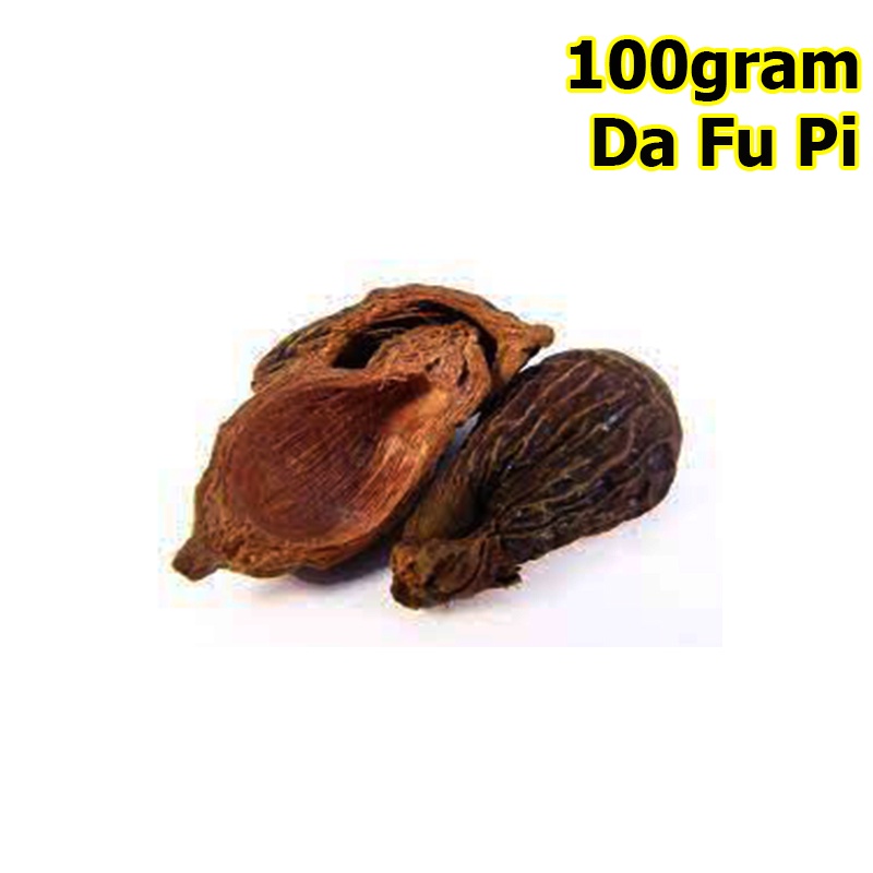 Jual [100gram - Grade A] Da Fu Pi - [ 大腹皮 ] - Pericarpium Arecae ...