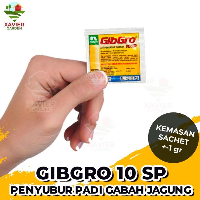 Jual GIBGRO 10 SP 1 GRAM PER SACHET ZPT PENYUBUR PADI GABAH JAGUNG ...