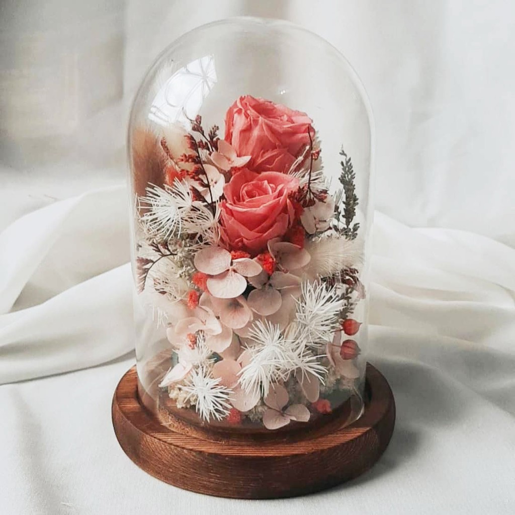 Jual Small Glass Dome Rose Preserved Flower Shopee Indonesia
