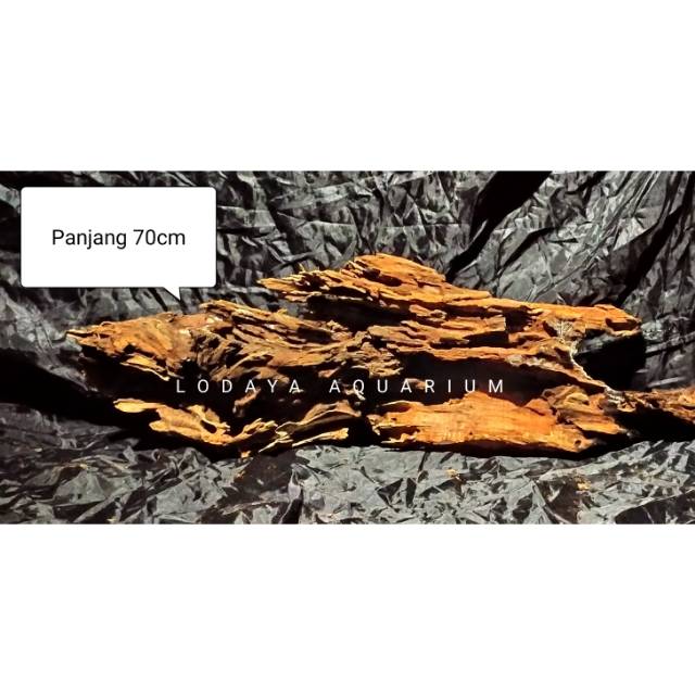 Jual AKAR BONGGOL RENTEK 70CM | Shopee Indonesia