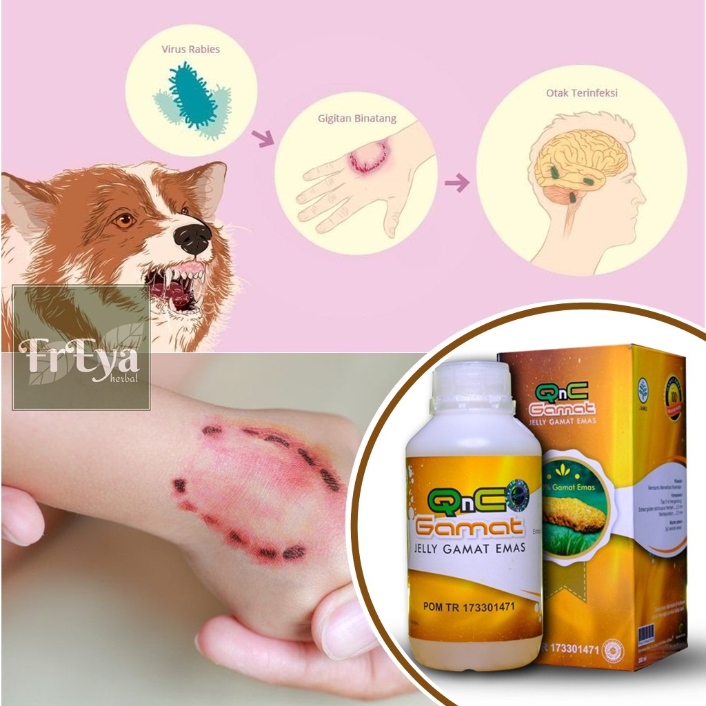 Jual OBAT RABIES ATAU OBAT HERBAL INFEKSI VIRUS RABIES AKIBAT GIGITAN ...
