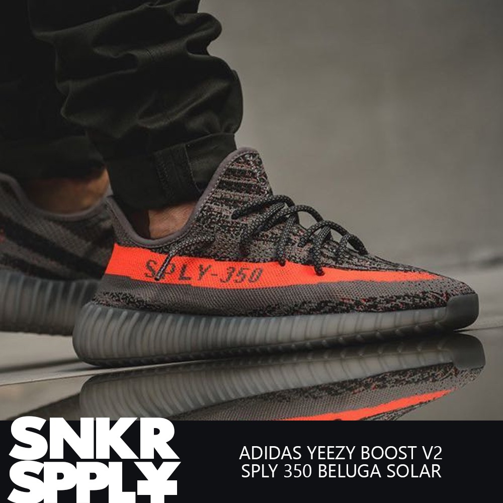 Jual ADIDAS YEEZY BOOST V2 350 SPLY BELUGA SOLAR PREMIUM BNIB Shopee Indonesia