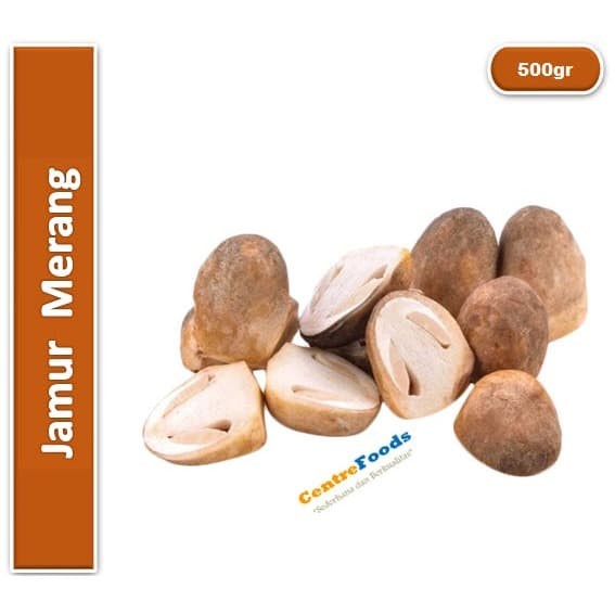 Jual Jamur Merang Fresh Jamur Padi 500gr [ Harga Per 0,5 Kg ] Shopee Indonesia