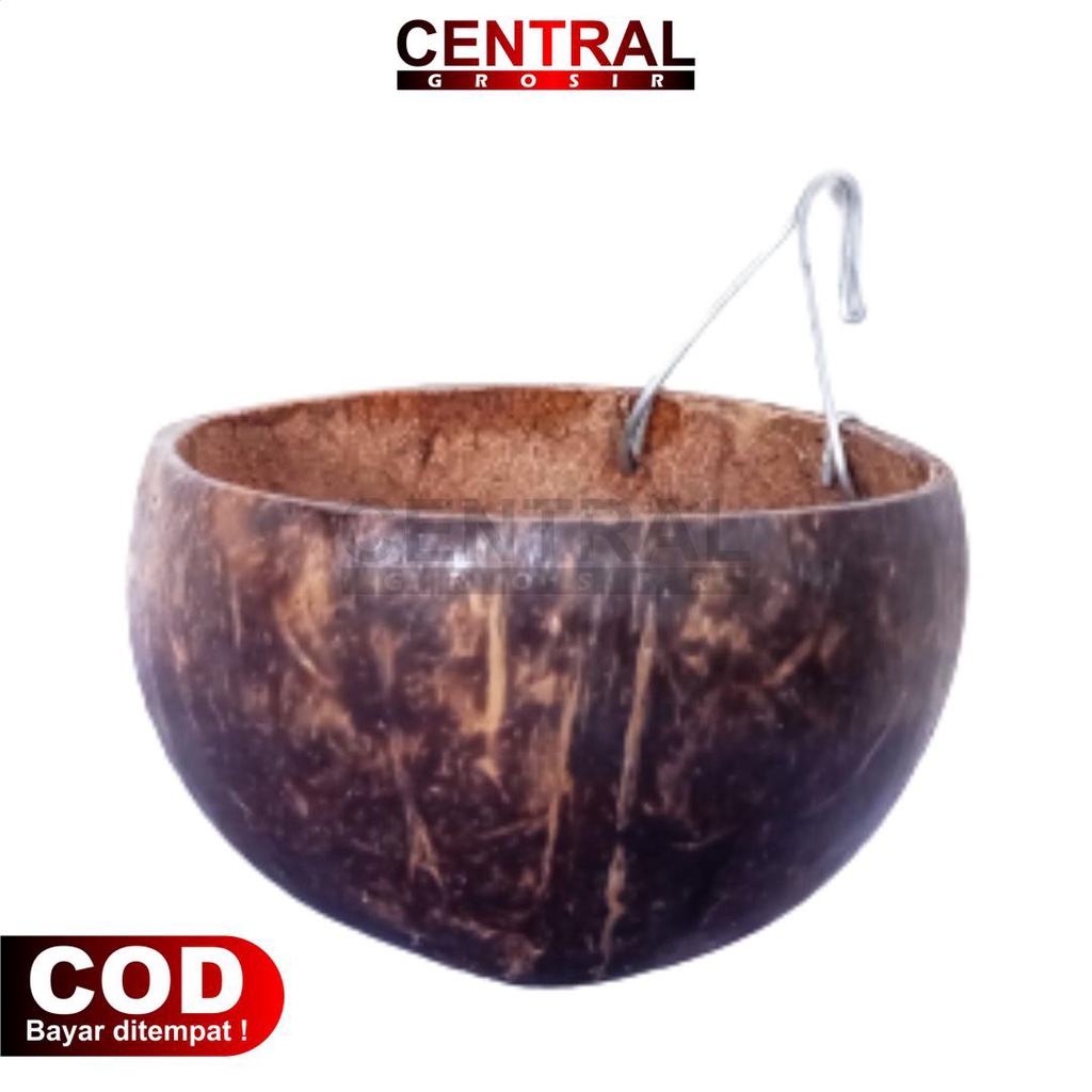 Jual Cepuk Wadah pakan / minum burung / ayam | bahan batok kelapa ...