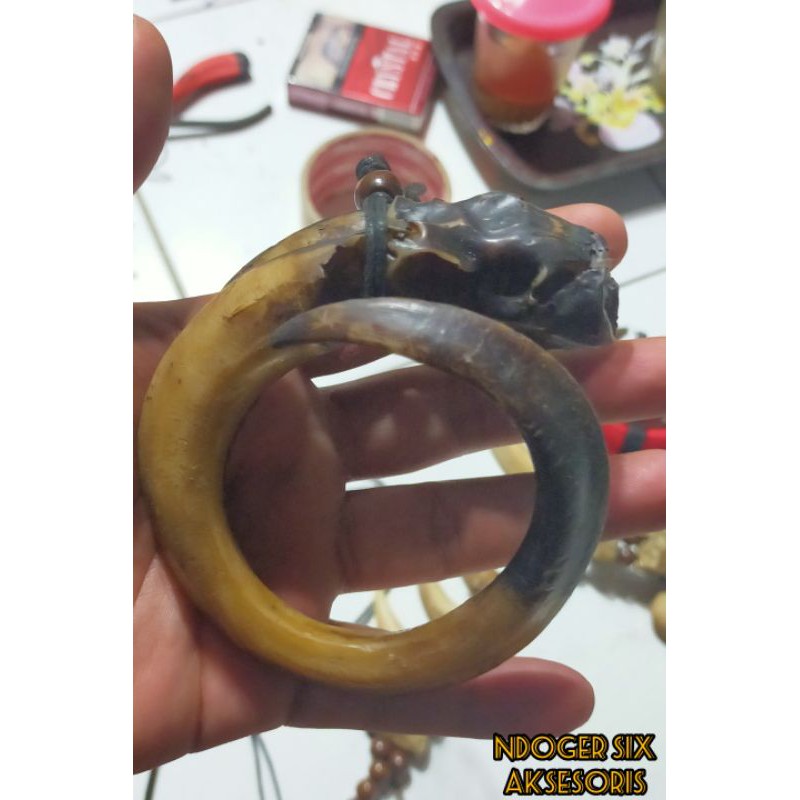Jual taring babi mati ngurak ukuran sedang | Shopee Indonesia