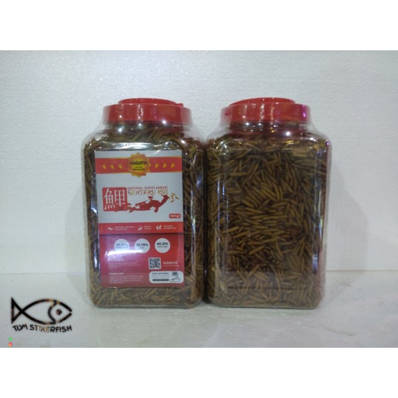 Jual Sentaku Red Maggot 500gr | Shopee Indonesia