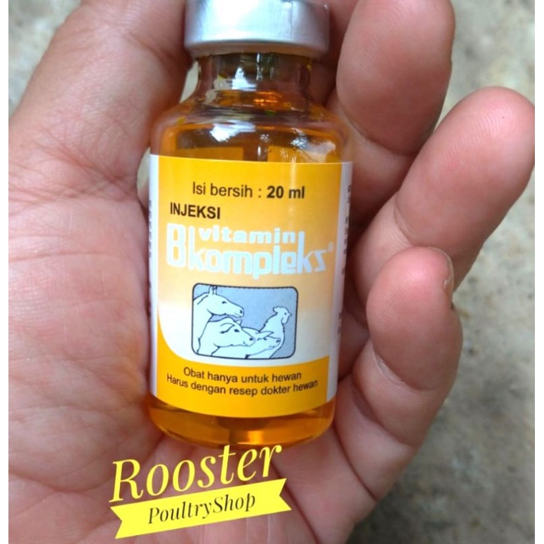 Jual Medion Vitamin Suntik Hewan B Komplek Injeksi 20 Ml Hewan Ayam ...