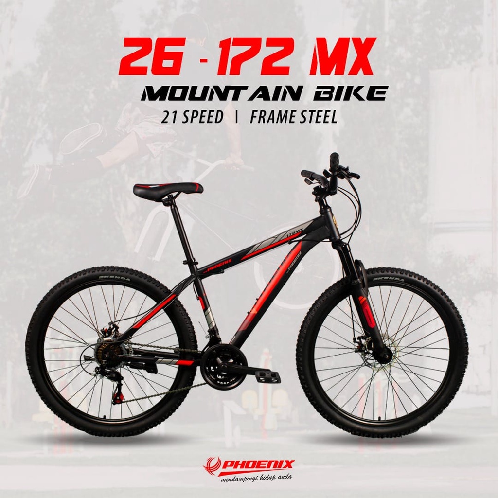 Mtb phoenix 26 hotsell