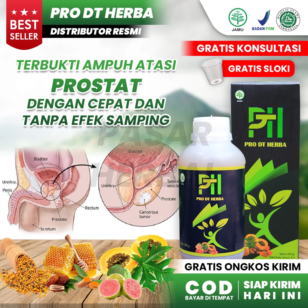 Jual Obat Prostat Herbal Alami Paling Ampuh Tanpa Oprasi Pro Dt Herba