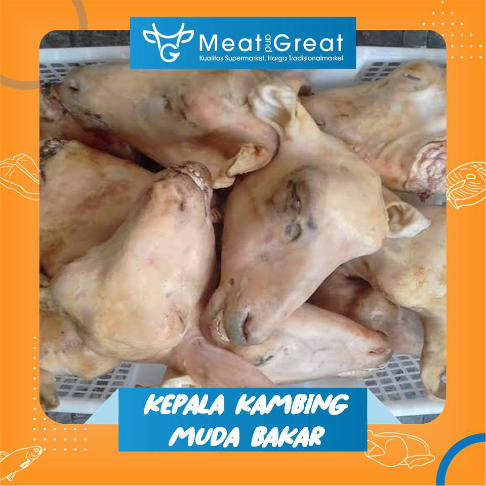 Jual Kepala Kambing Muda Segar Utuh | Shopee Indonesia