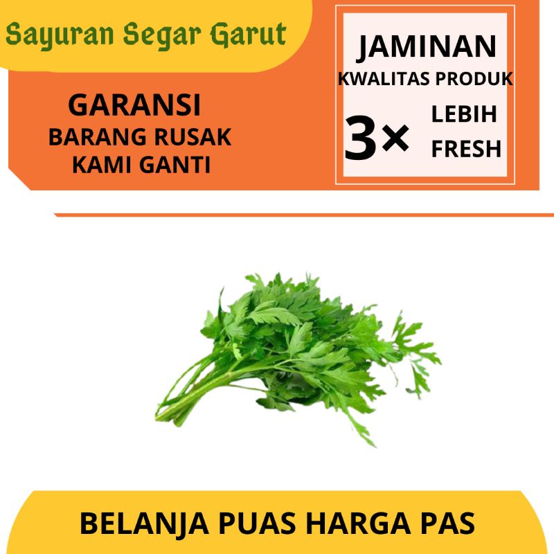 Jual Seledri Segar Per 1 Ikat by Sayuran Segar Garut | Shopee Indonesia
