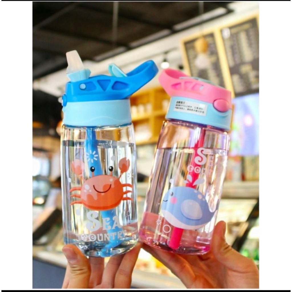 Jual Botol Minum Anak Roket BPA Free / Botol Minum anak 480ml / Botol