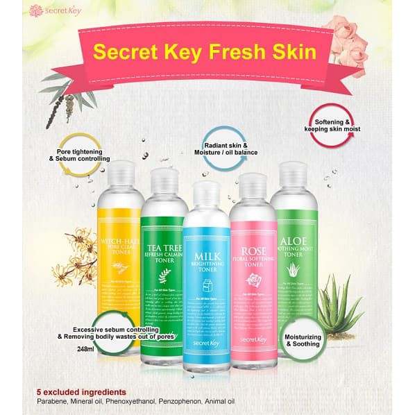 Jual Secret Key - Witch Hazel Tea Tree Milk Aloe 248ml Pore Calming ...